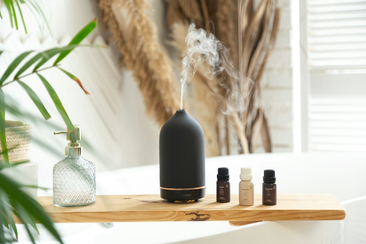 Combinaciones de plantas para baño de asiento